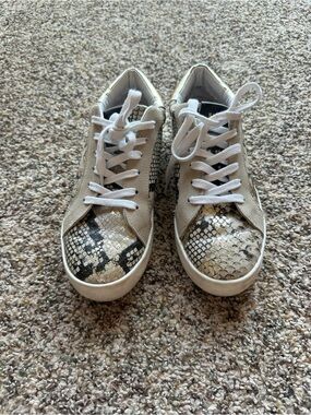 Steve Madden size 9 snakeskin star lace up shoes